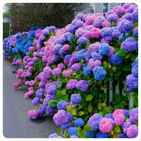 40% OFF-Outdoor Artificial Hydrangea Flowers💐 - Image 21