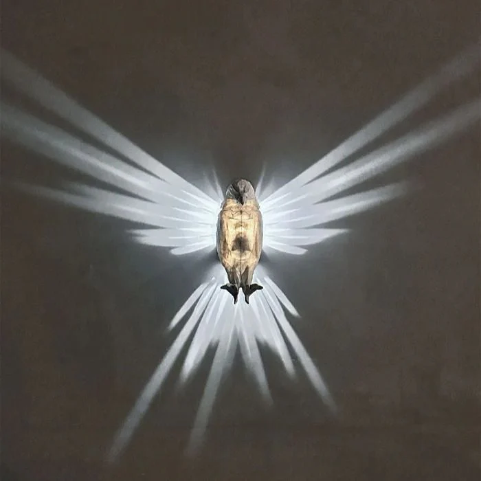 š„ 3D Animals LED Wall Light š„ Bald Eagle & Night Owl & Lion Head - Image 3