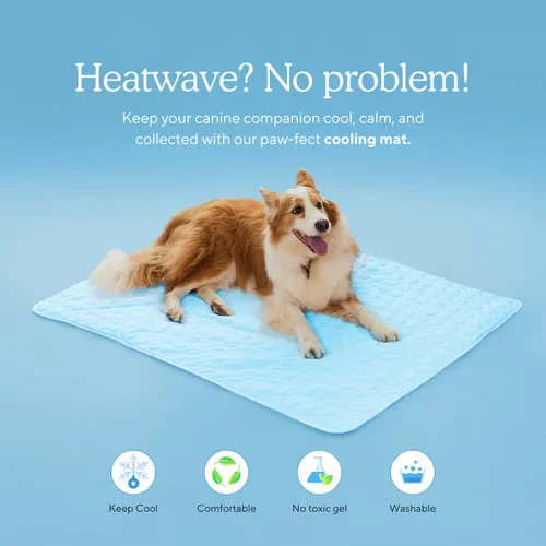 🐶Dog Cooling Mat (4x more effective) - Image 4
