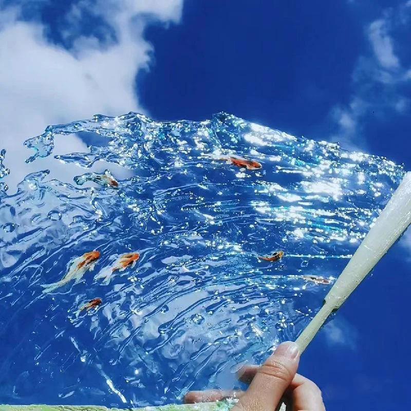 DIY Koi Water Fan Material Kit - Image 10