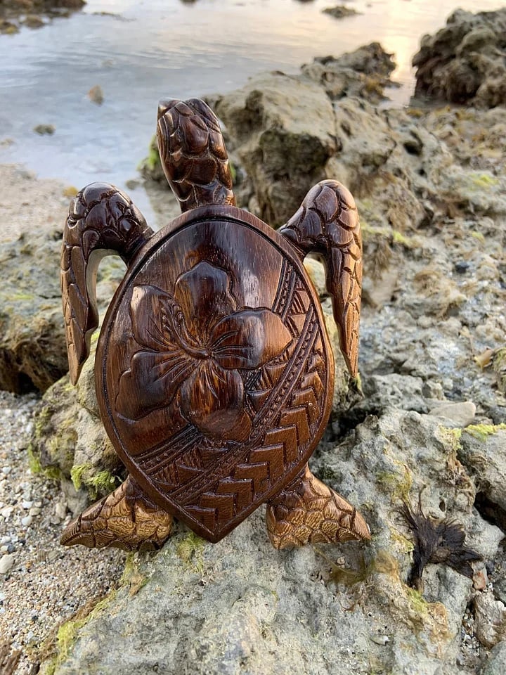 Hawaiian Turtle - Image 8