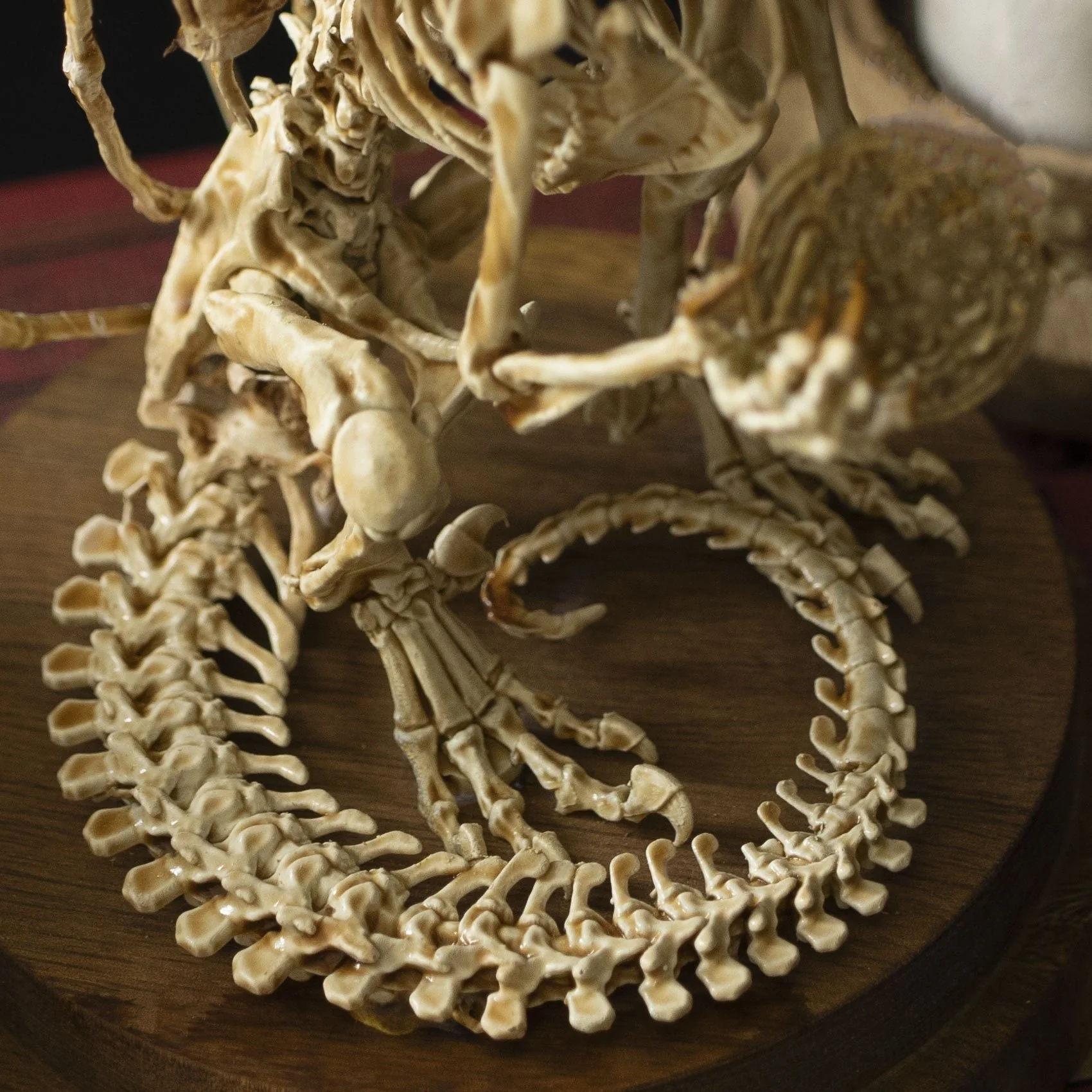 🔥🔥🔥Holiday Day Promotion 40% OFFWENDIGO SKELETON CURIOSITY CABINET - Buy two and get free shipping! - Image 14