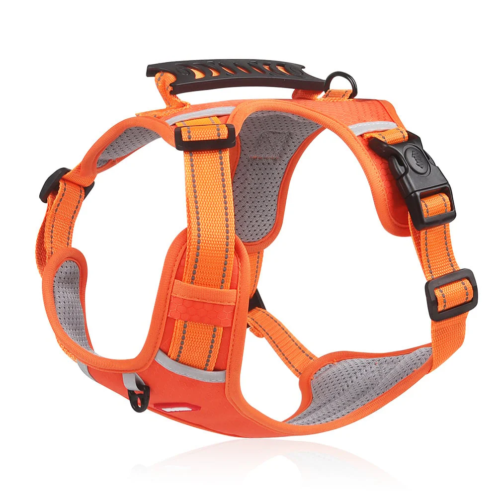 No Pull Dog Harness for Pets - Image 6