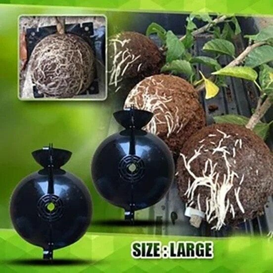 🌱Plant Root Growing Box - Image 4