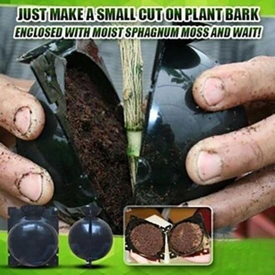 🌱Plant Root Growing Box - Image 7