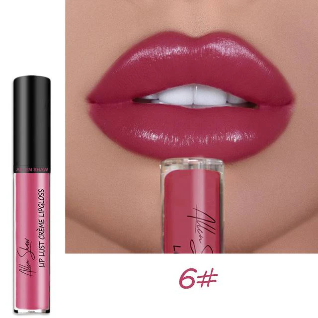 12 COLOR WATERPROOF LONG LASTING MOIST LIP GLOSS PLUMPER LIQUID LIPSTICK - Image 11