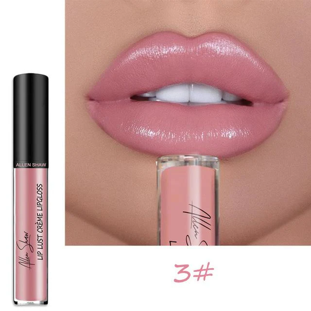 12 COLOR WATERPROOF LONG LASTING MOIST LIP GLOSS PLUMPER LIQUID LIPSTICK - Image 8